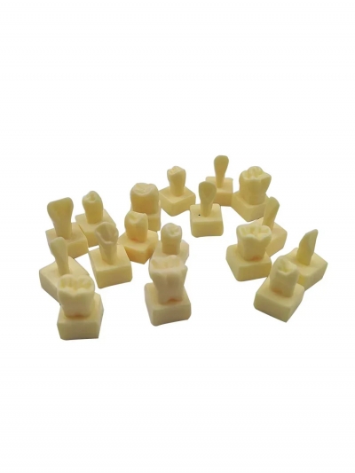 Комплект зубов увеличенного размера Dentis, 28 шт-3